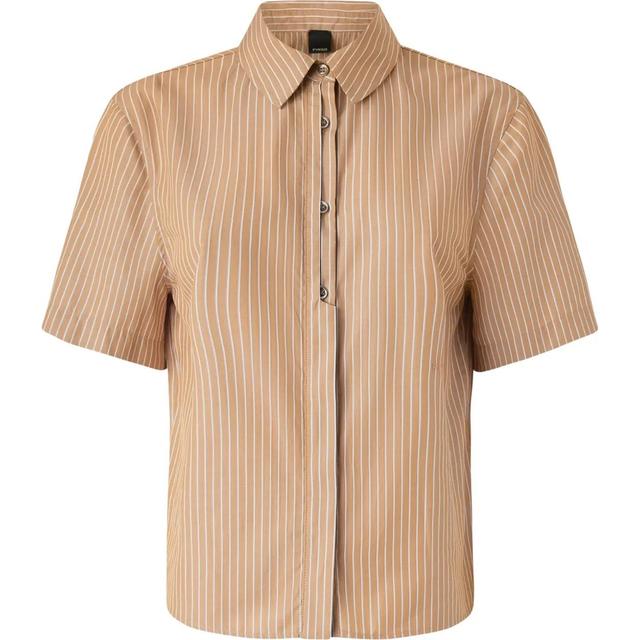 Marškiniai trump. rankovėmis moterims, Ruda, Innuendo shirt