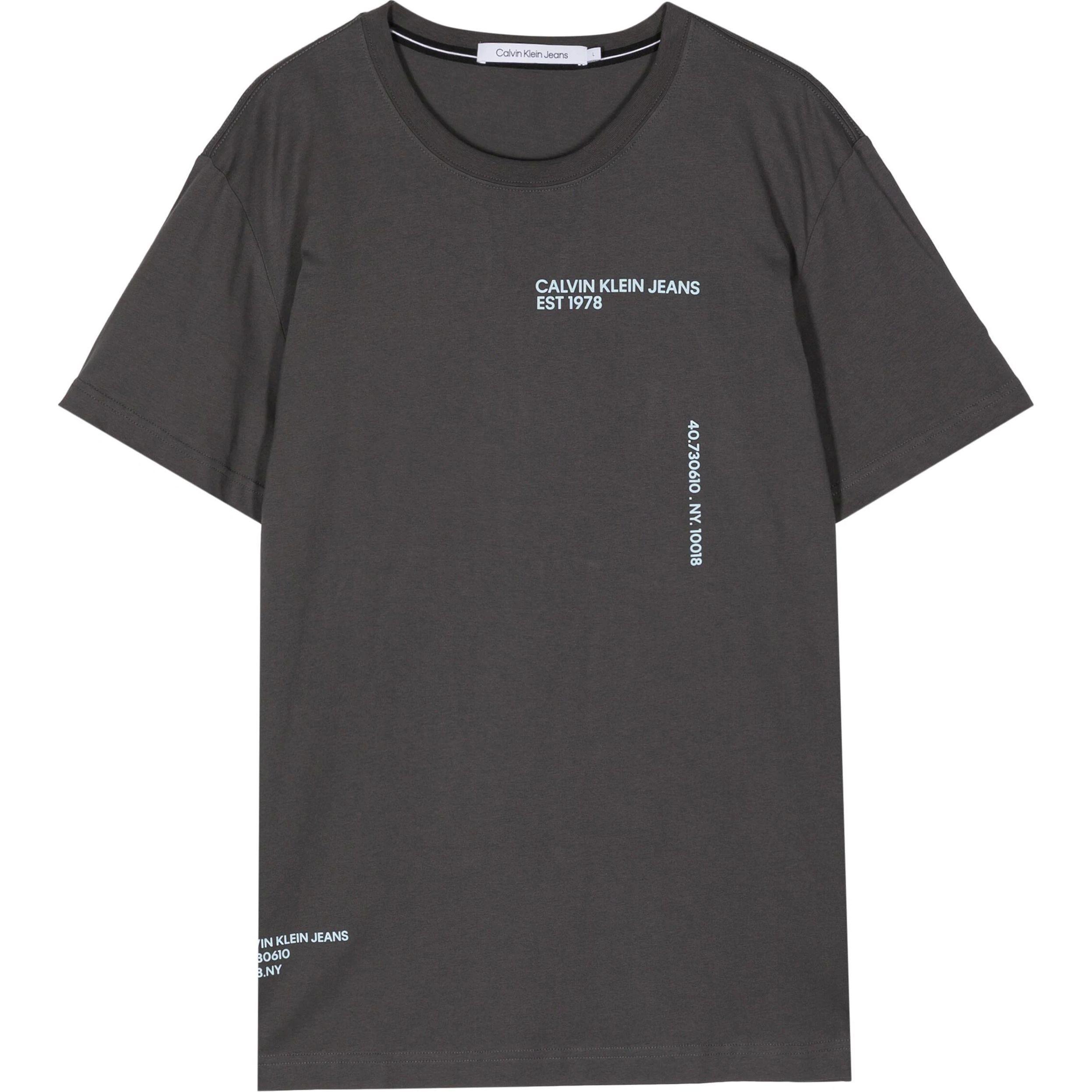 Marškinėliai trump. rankovėmis vyrams, Pilka, S/s t-shirt