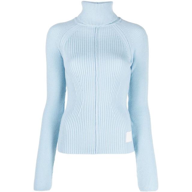 Megztinis moterims, Mėlyna, Ribbed turtleneck