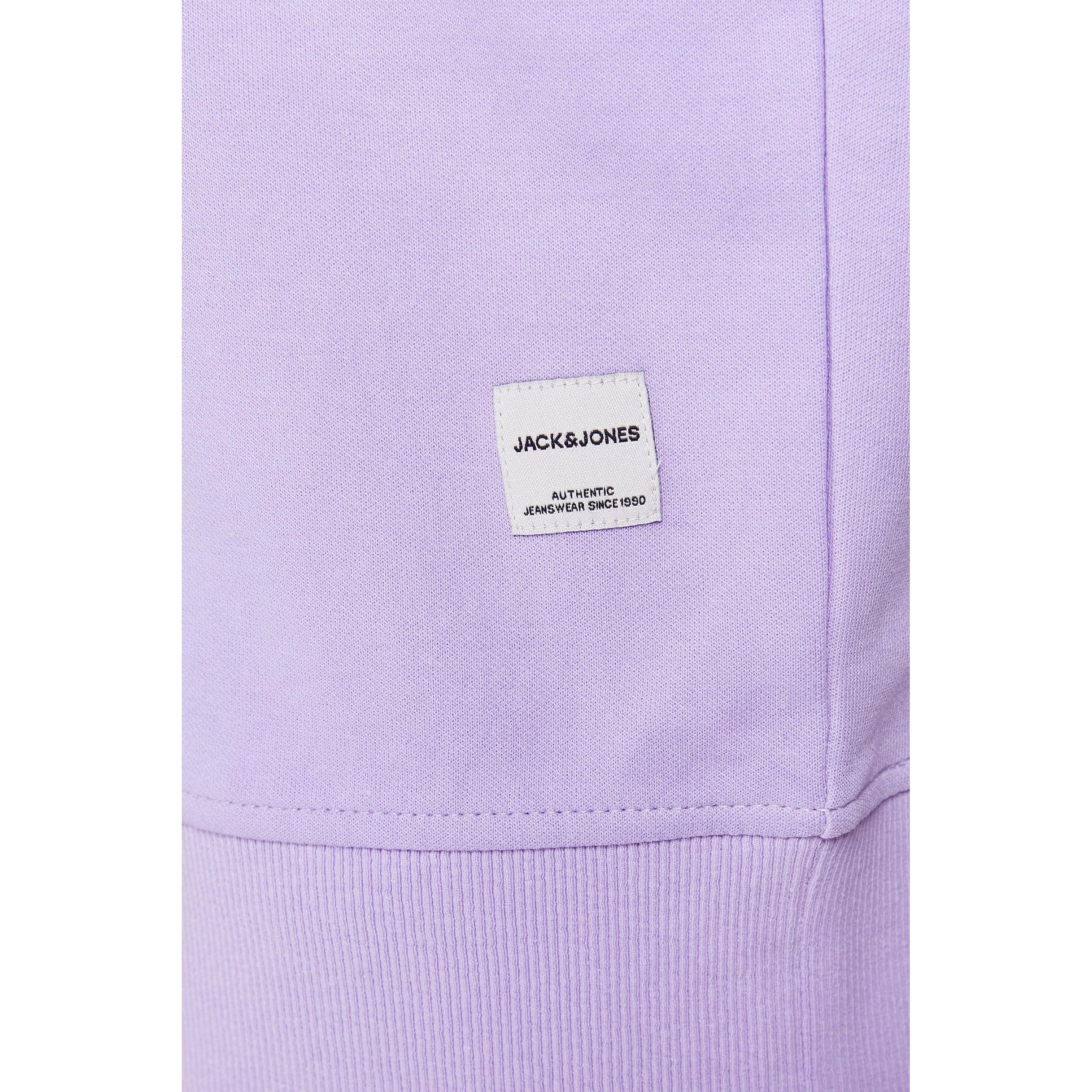 JACK & JONES Megztinis vyrams, purple, Megztiniai 2