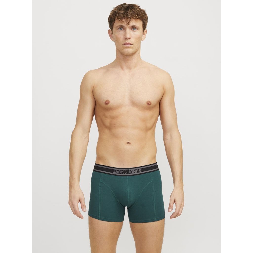 JACK & JONES Ilginti apatiniai vyrams, Marga, Aiden solid trunks 7