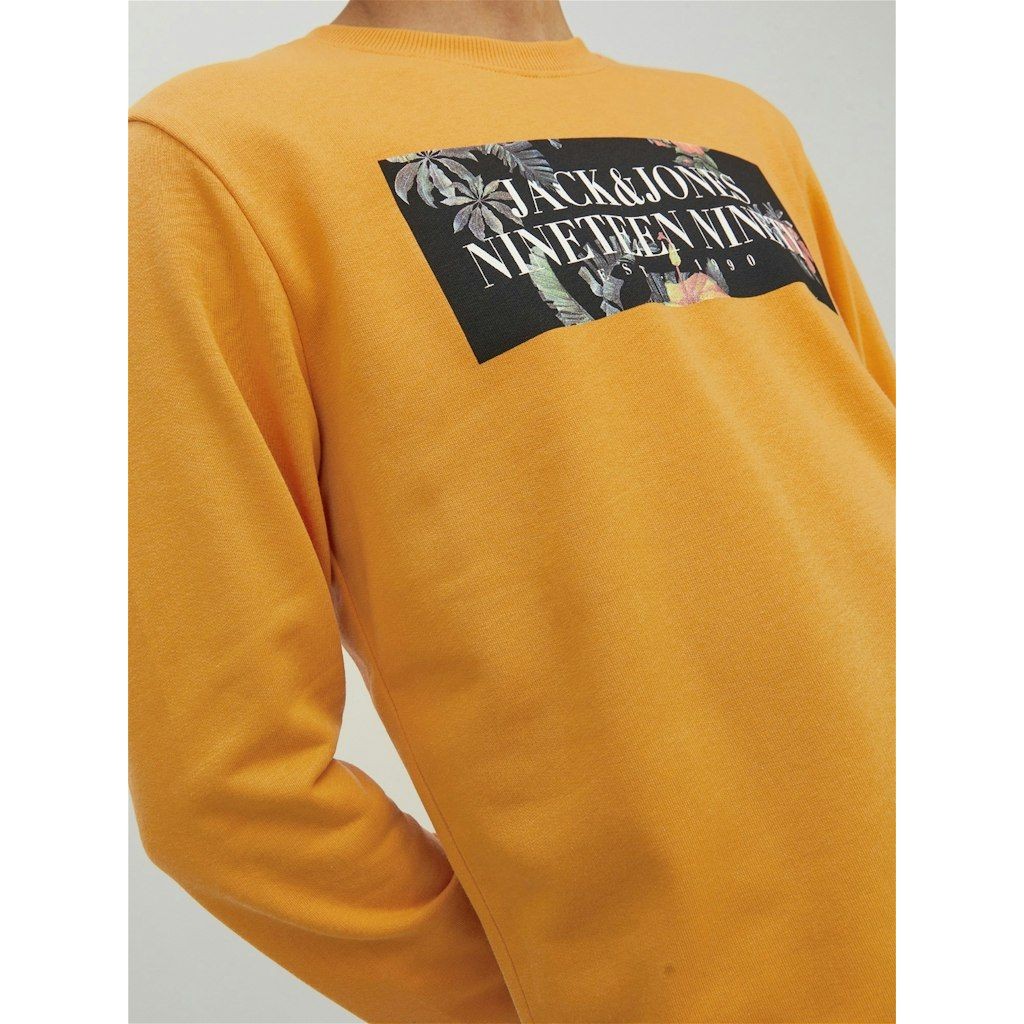 JACK & JONES Sportinis nertinis vyrams, Oranžinė, JORFLORES SWEAT 5