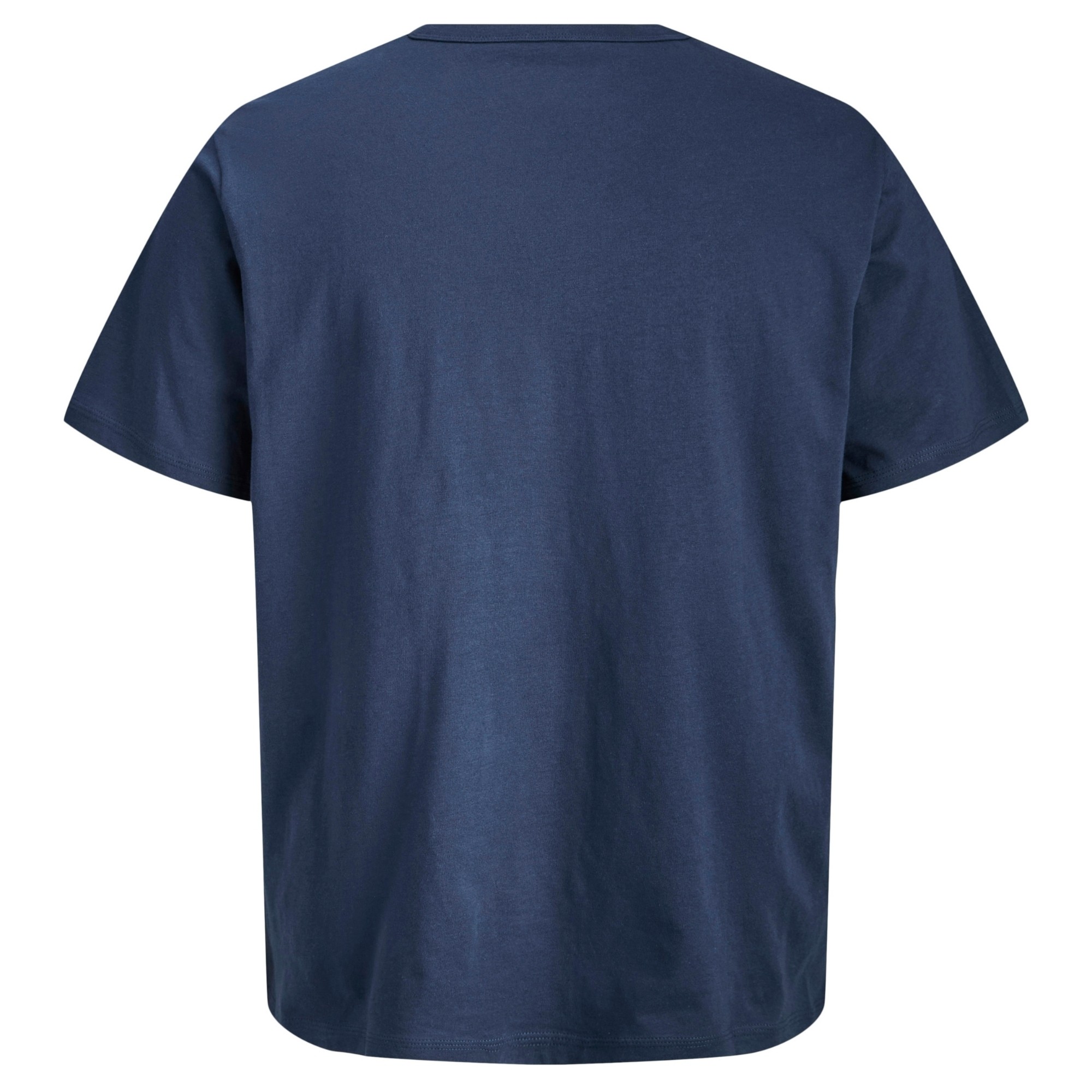 JACK & JONES Marškinėliai vyrams, Mėlyna, Alliance 2