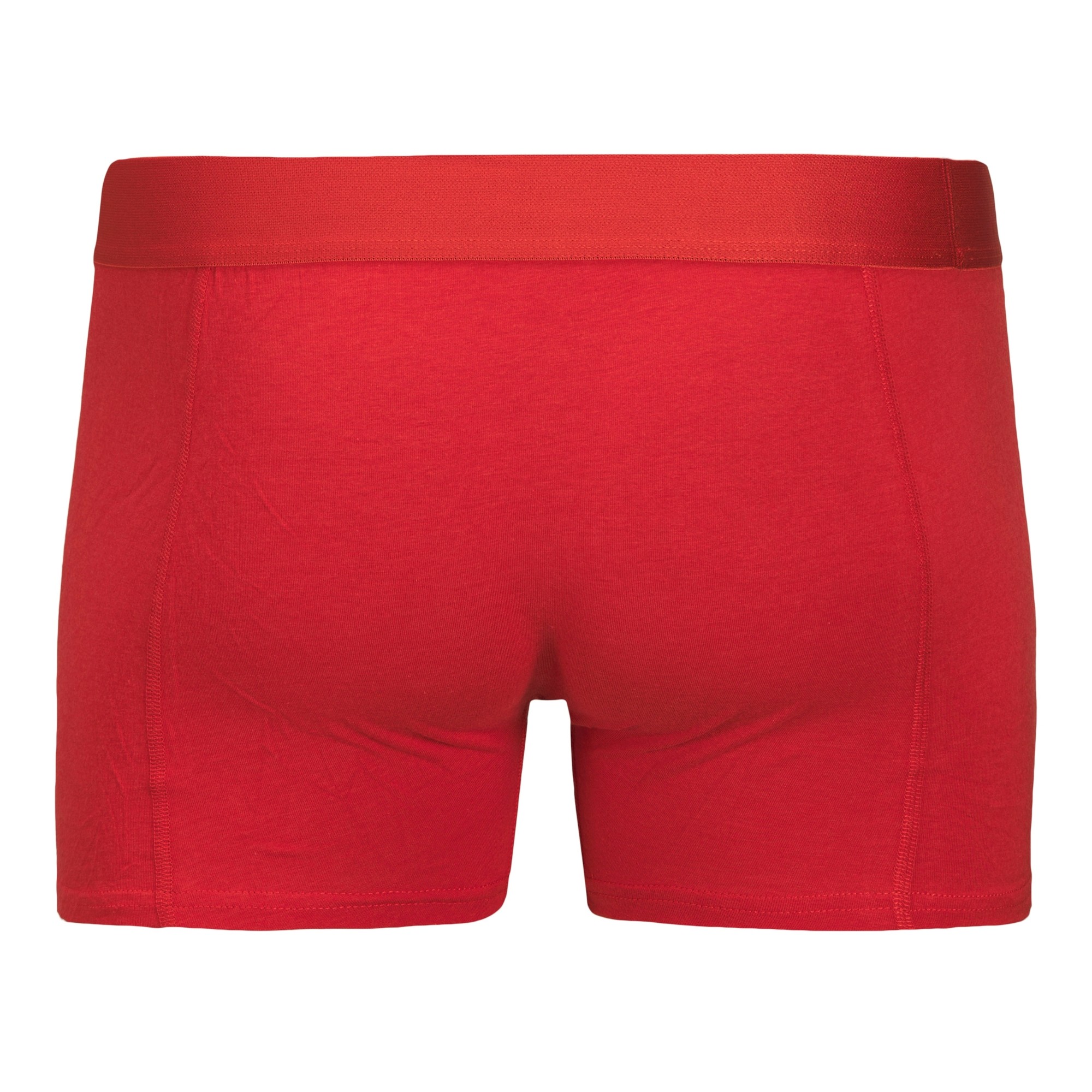 JACK & JONES Ilginti apatiniai vyrams, Marga, Bamboo trunks 3 pack 3