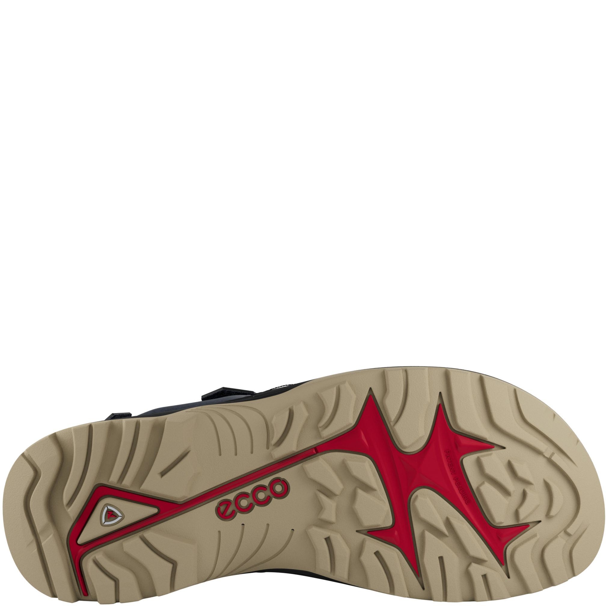 ECCO Basutės vyrams, Mėlyna, Offroad sandals 3