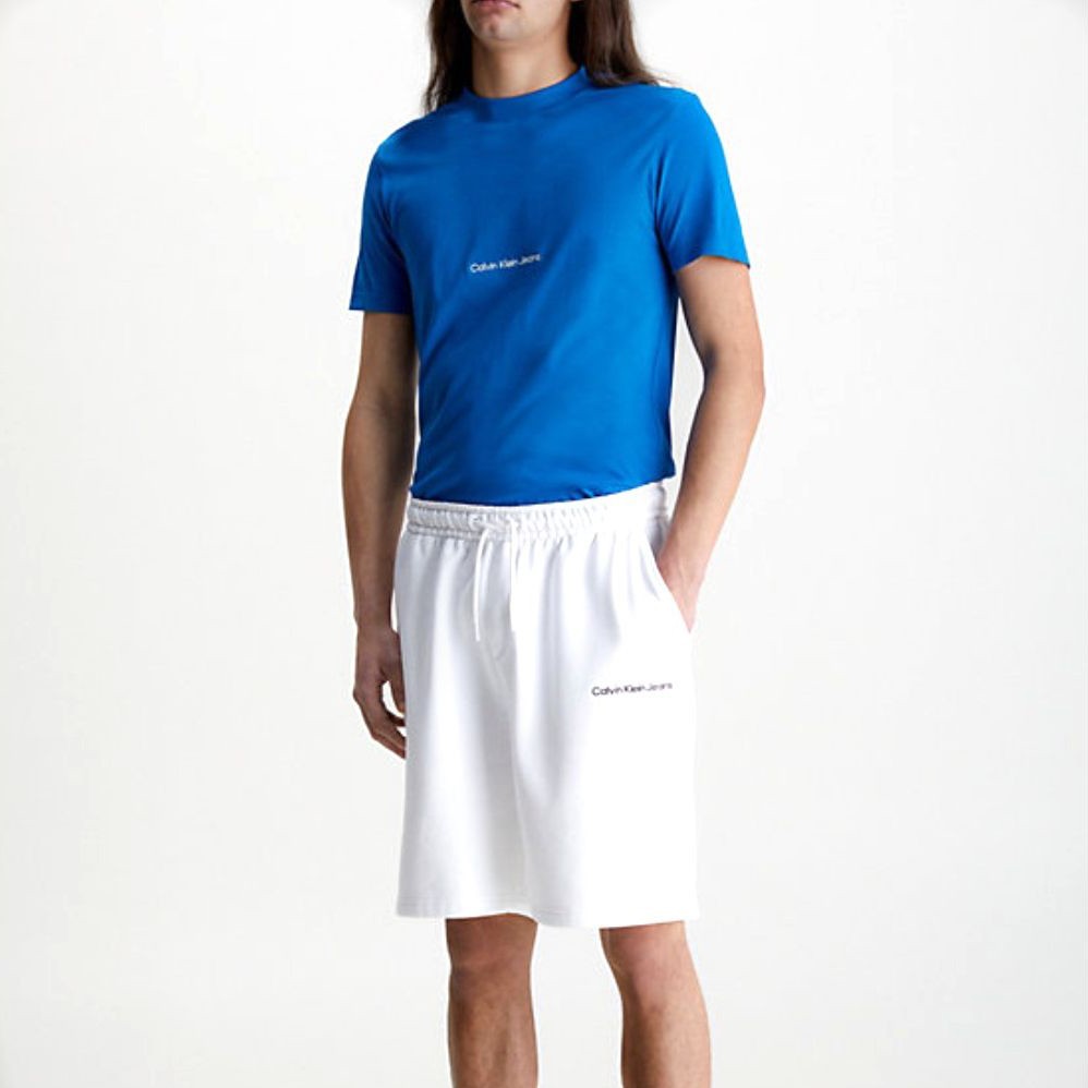 CALVIN KLEIN JEANS Marškinėliai trump. rankovėmis vyrams, Mėlyna, Institutional tee 2