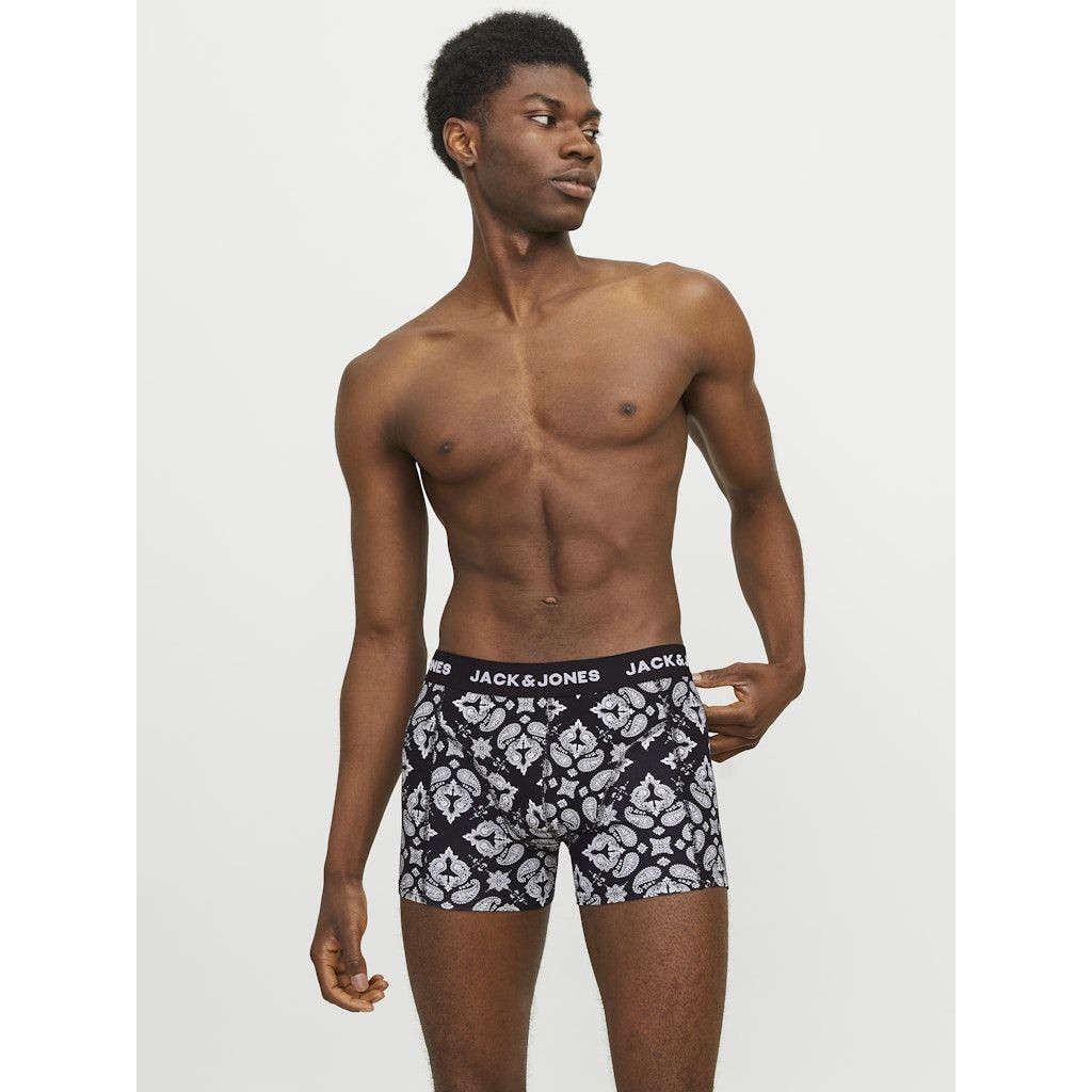 JACK & JONES Ilginti apatiniai vyrams, Marga, Paris trunks 3 pack 4