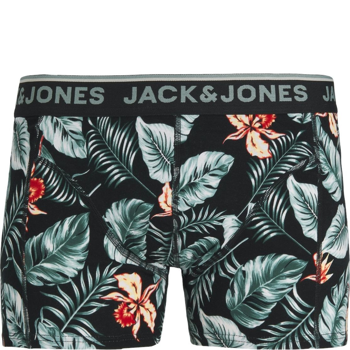JACK & JONES Kelnaitės vyrams, Marga, Apatiniai