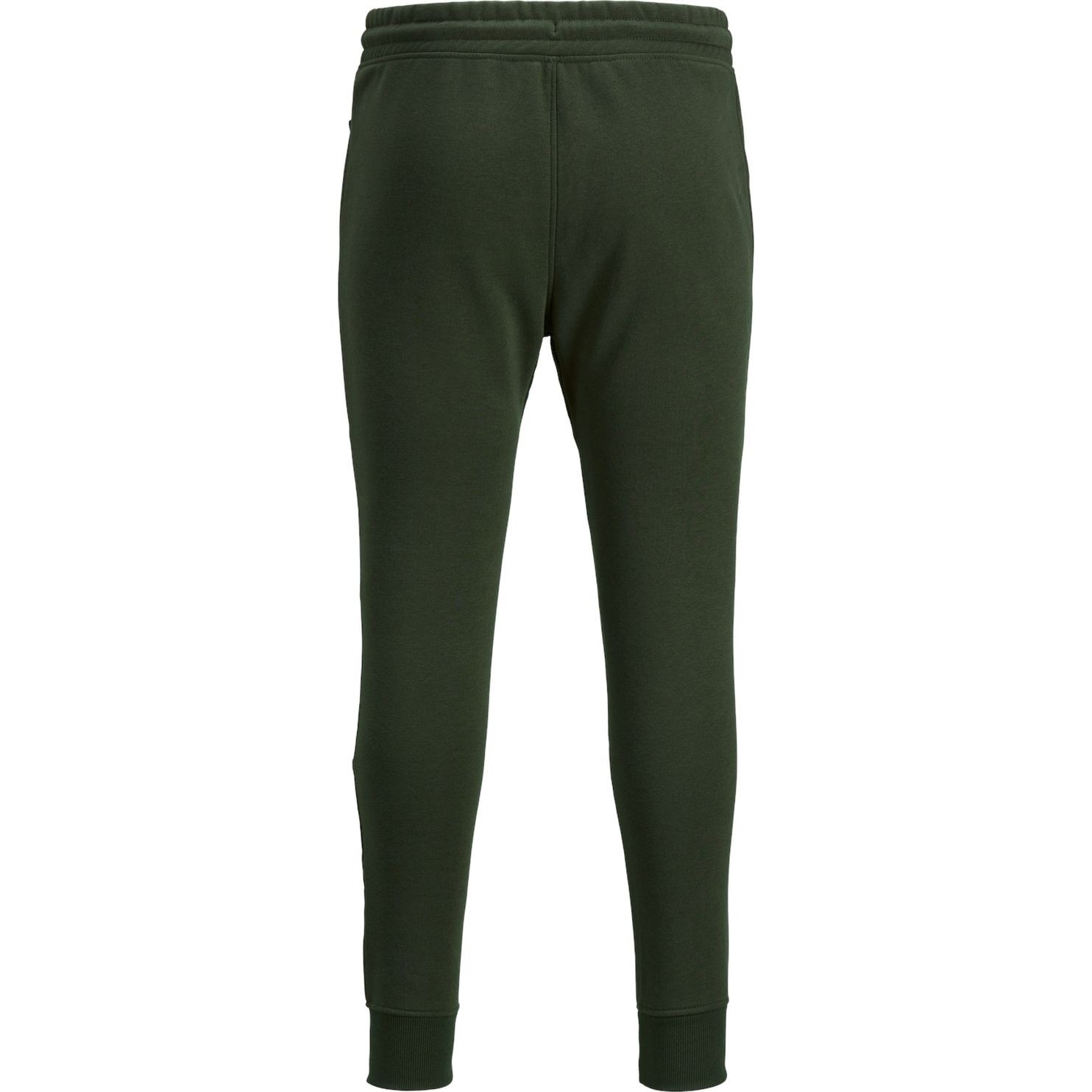 JACK & JONES Kelnės vyrams, Žalia, Kelnės 2