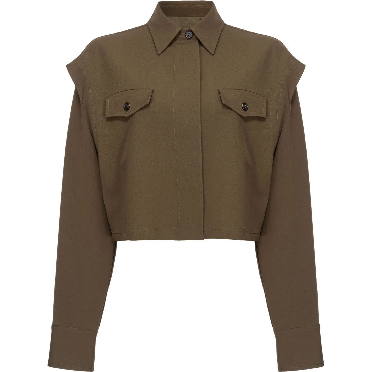 PINKO Marškiniai ilgomis rankovėmis moterims, Ruda, Fioriera cropped shirt 1