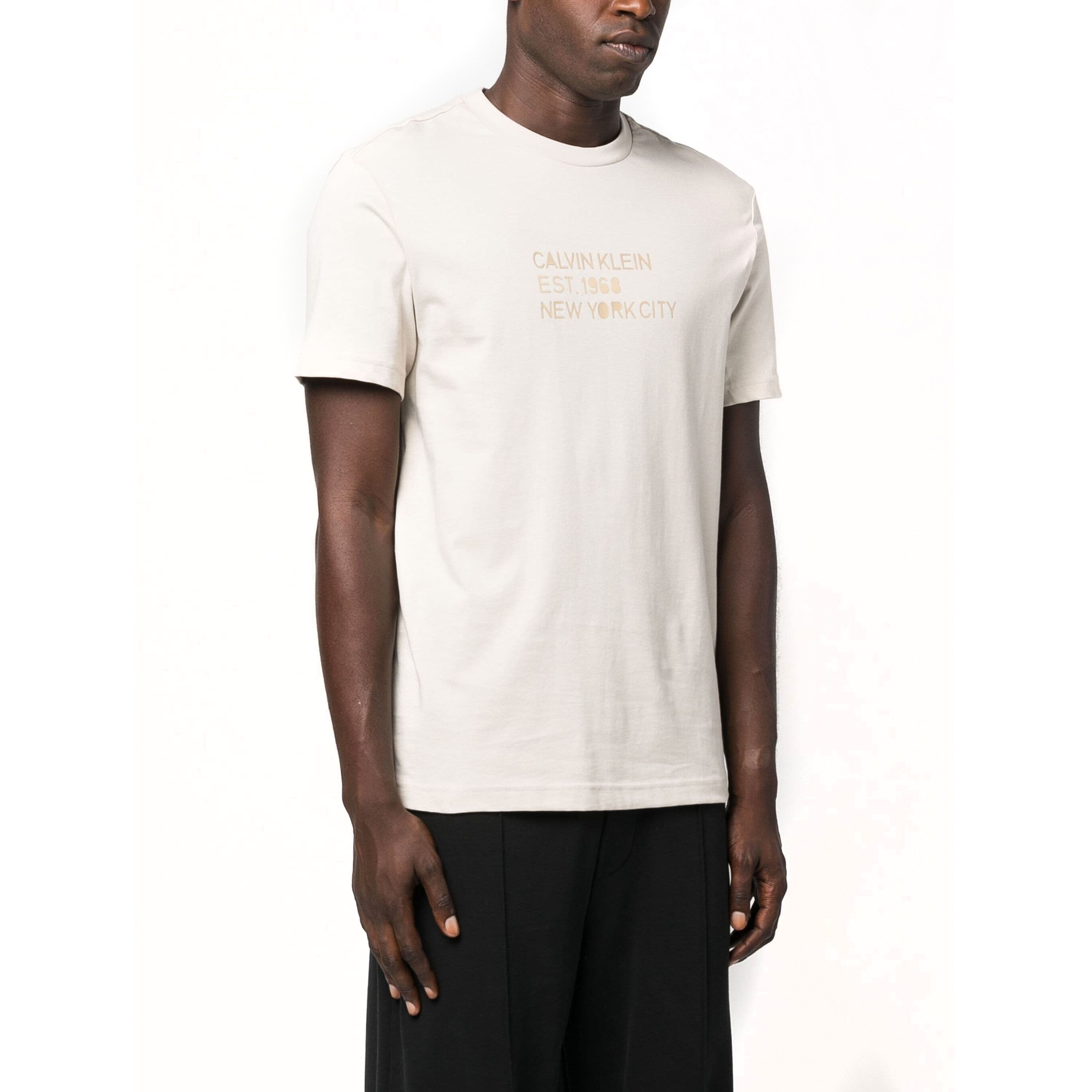 CALVIN KLEIN Marškinėliai trump. rankovėmis vyrams, Smėlio, Mixed print stencil logo t-shi 2