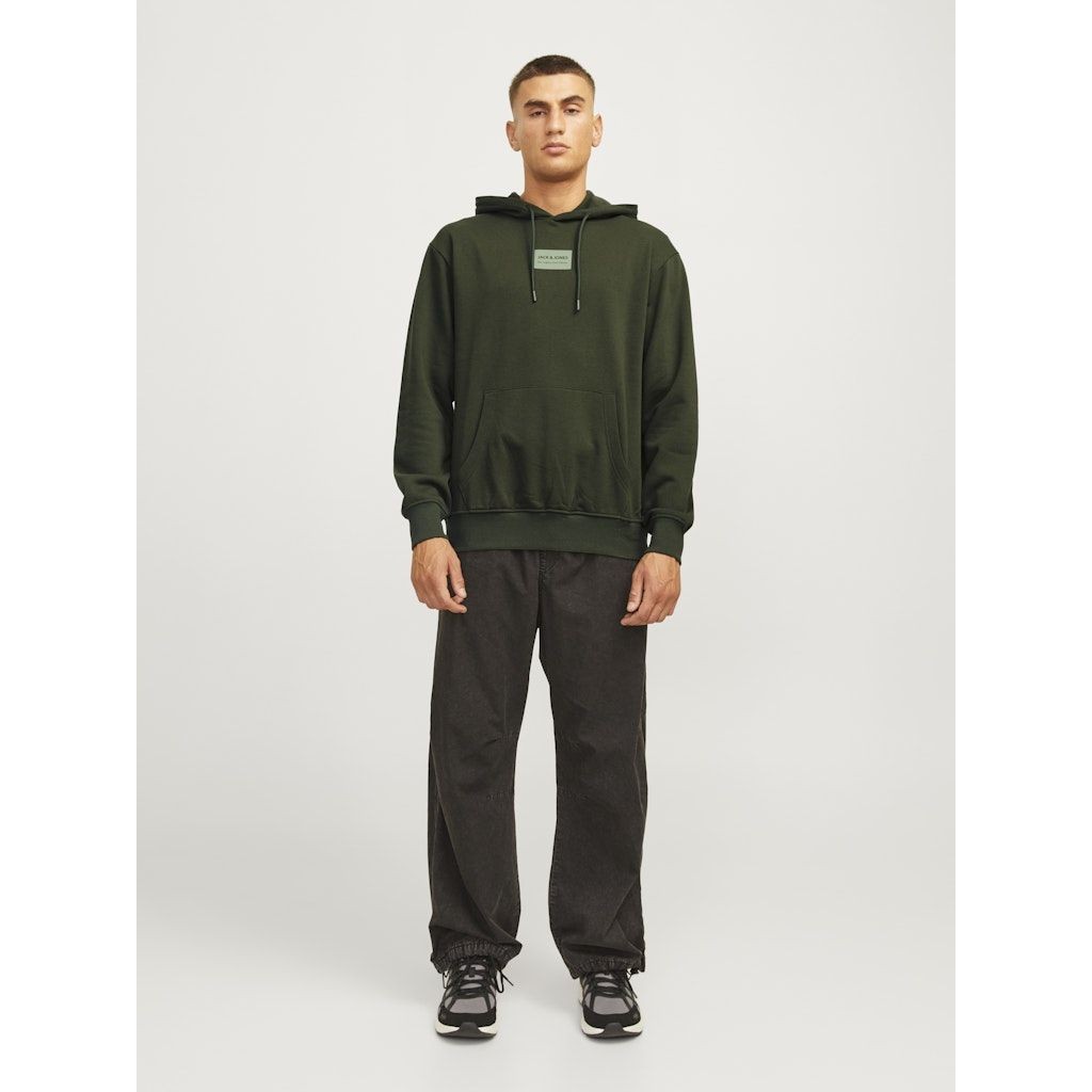 JACK & JONES Džemperis vyrams, Chaki, Hak kai sweat hood 5