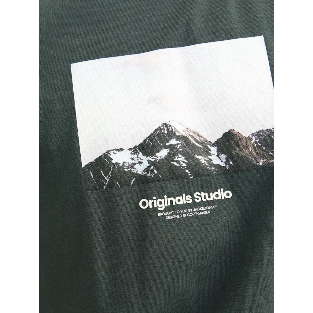 JACK & JONES Marškinėliai vyrams, Pilka, Vester bro picture tee 6