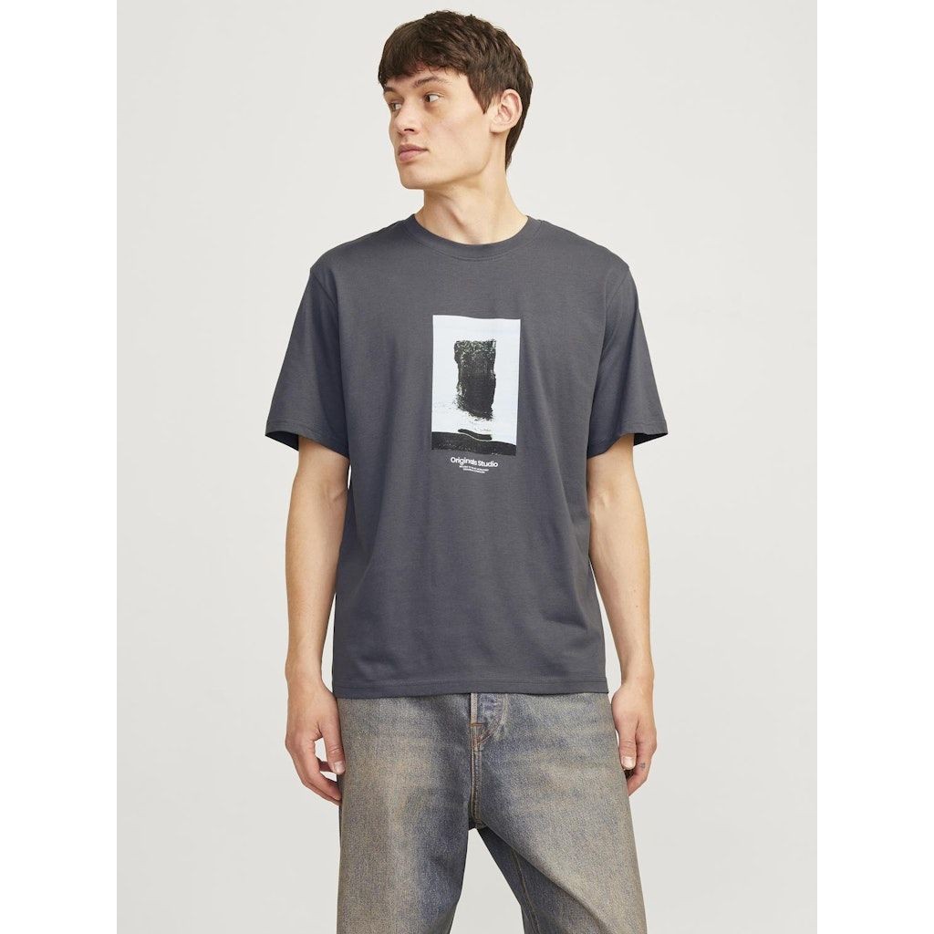 JACK & JONES Marškinėliai vyrams, Pilka, Vester bro picture tee 4