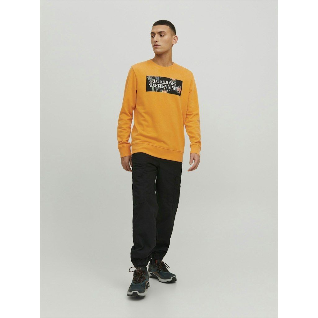 JACK & JONES Sportinis nertinis vyrams, Oranžinė, JORFLORES SWEAT 4
