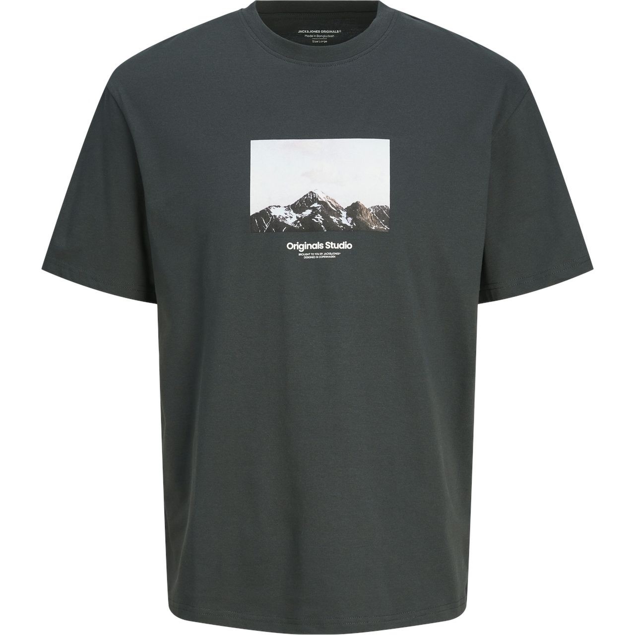 JACK & JONES Marškinėliai vyrams, Pilka, Vester bro picture tee 1