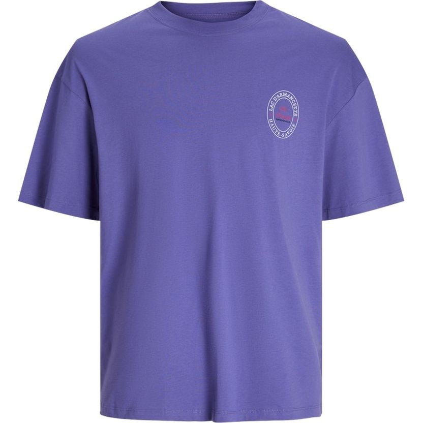 JACK & JONES Marškinėliai vyrams, JORVILLERAYBRIGHT TEE 1