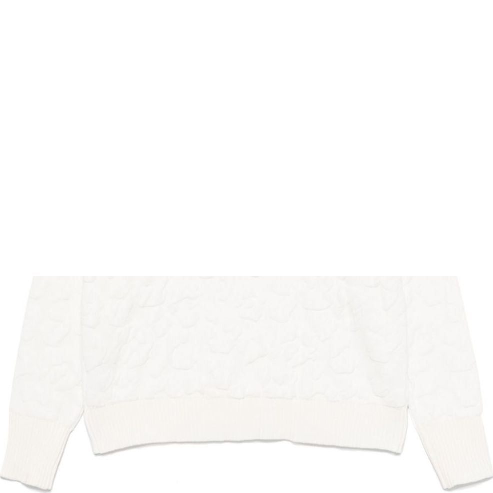 DKNY Megztinis moterims, Mėlyna, L/s cheetah chenille swtr 2