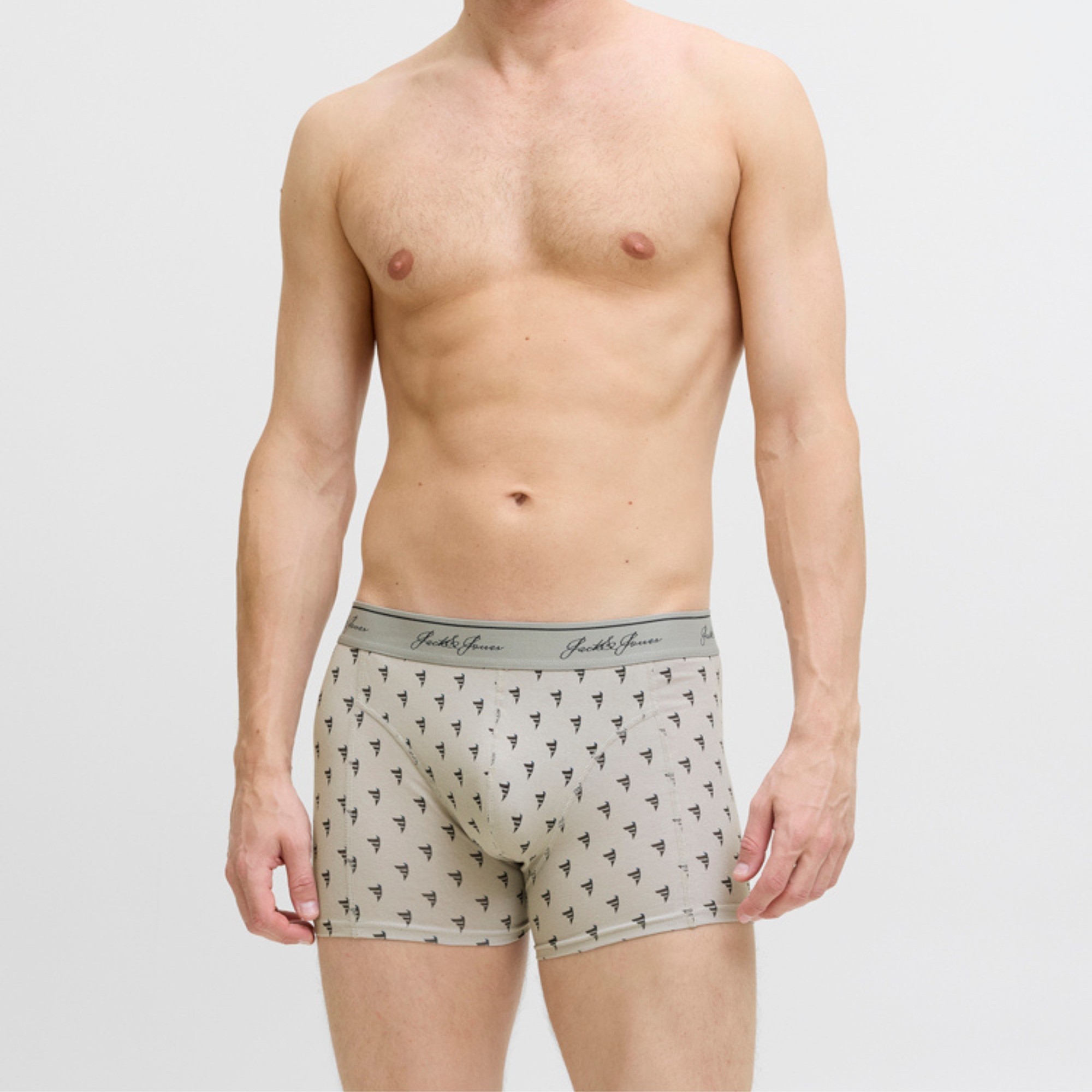 JACK & JONES Ilginti apatiniai vyrams, Marga, Tate trunks 2