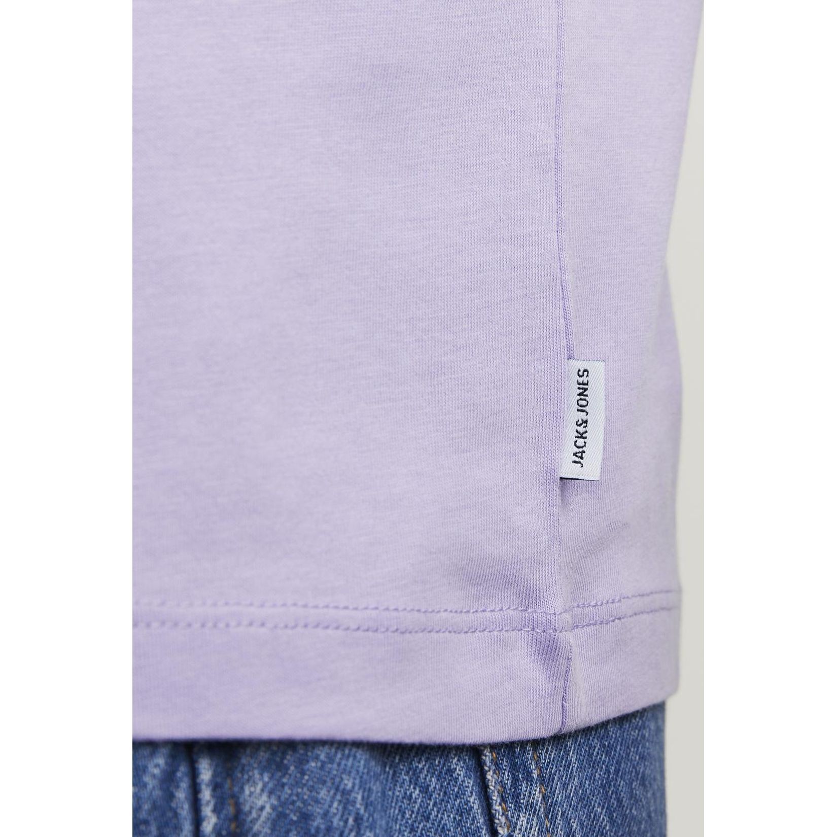 JACK & JONES Marškinėliai vyrams, Violetinė, Jjeorganic t-shirts 7