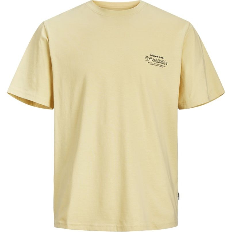 JACK & JONES Marškinėliai vyrams, Kūno, Jorsequoia t-shirts 1