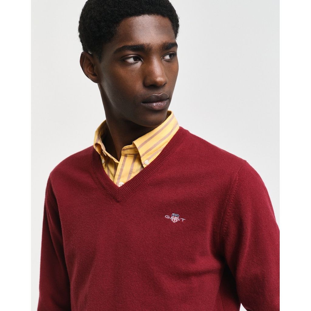 GANT Megztinis vyrams, Raudona, Superfine lambswool sweater 4