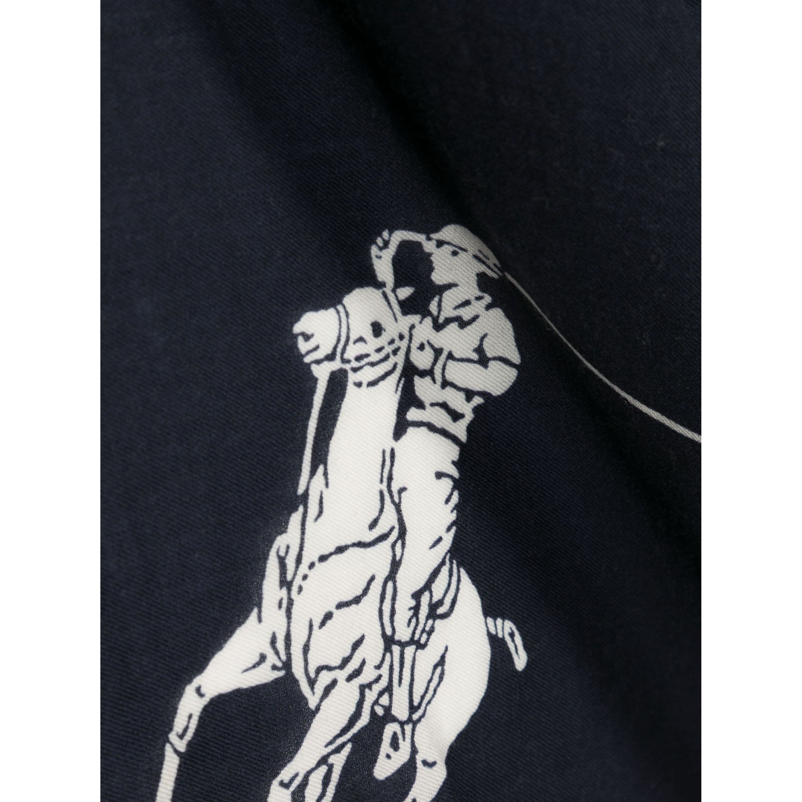 POLO RALPH LAUREN Šalikas moterims, Mėlyna, Pony square scarf 1