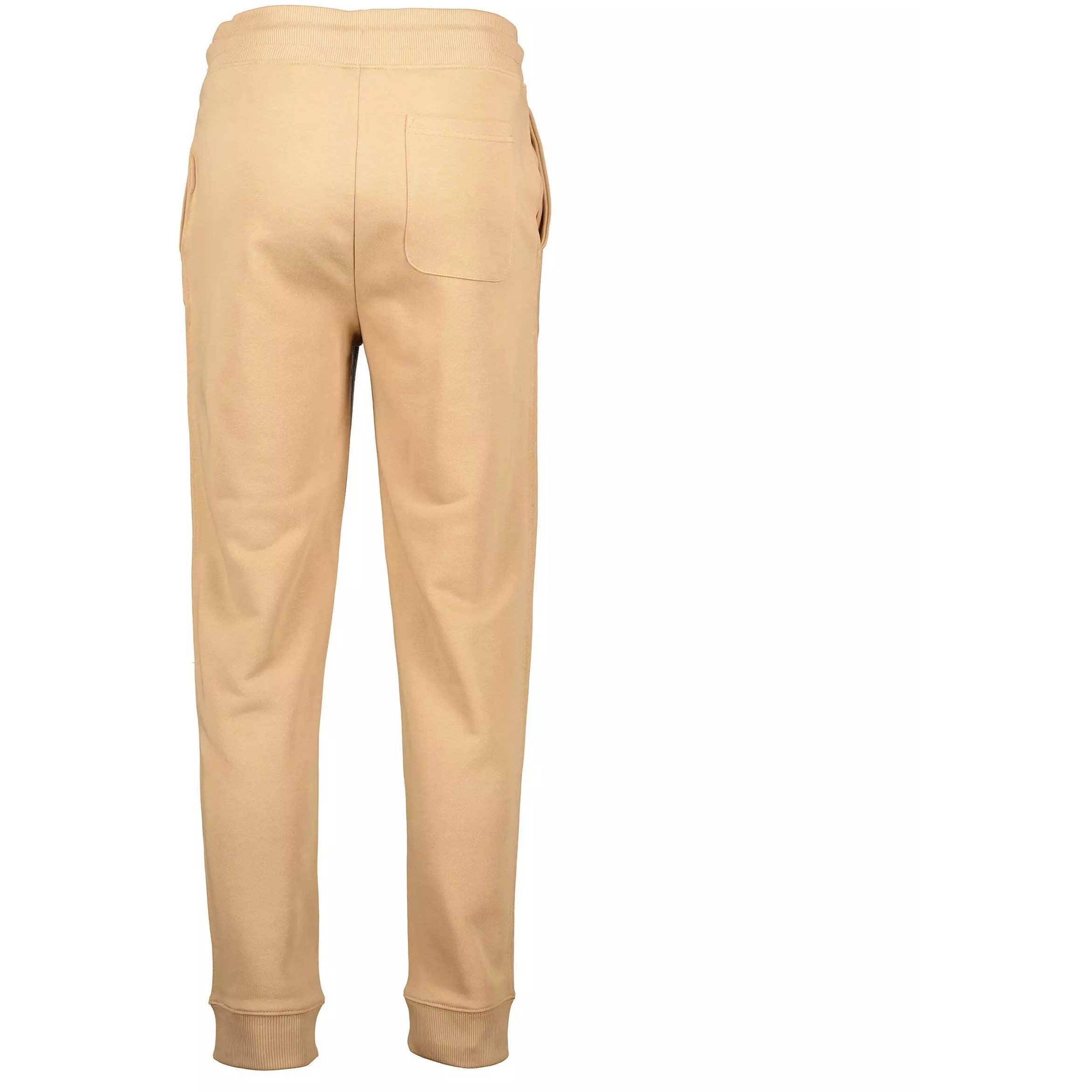 GANT Kelnės vyrams, Žalia, REG SHIELD SWEATPANTS 2