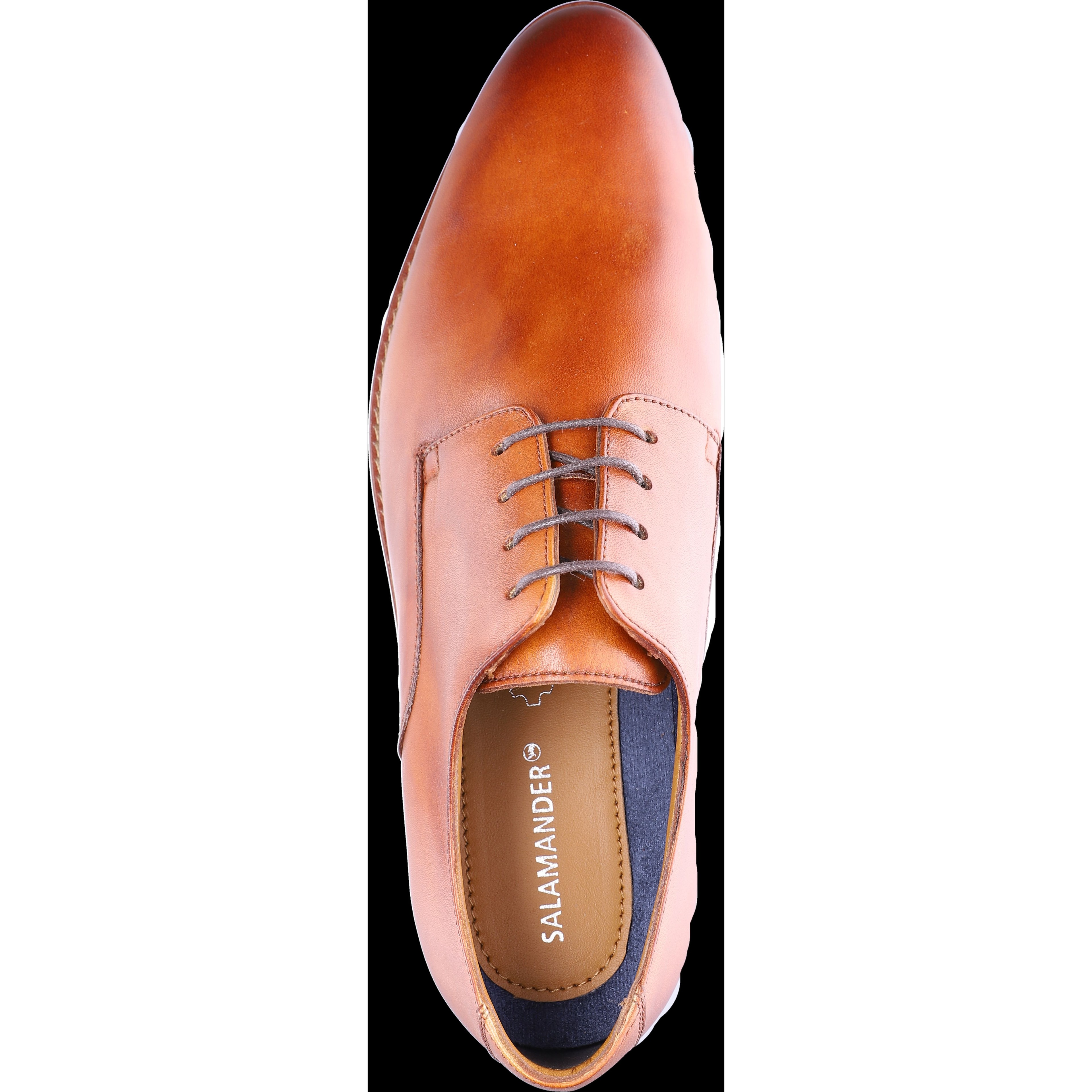 SALAMANDER Klasikiniai batai vyrams, Ruda, Aronso formal 3