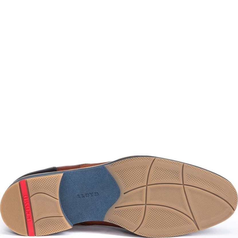 LLOYD Klasikiniai batai vyrams, Ruda, Harris formal 4