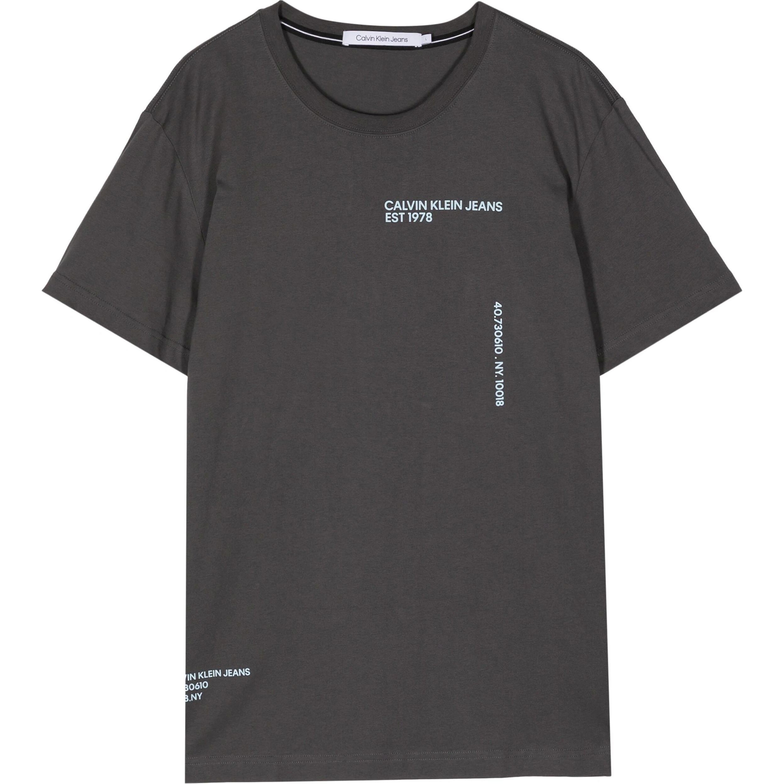 CALVIN KLEIN JEANS Marškinėliai trump. rankovėmis vyrams, Pilka, S/s t-shirt 1