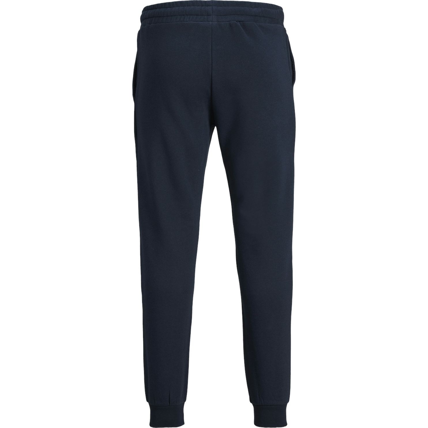 JACK & JONES Laisvalaikio kelnės vyrams, Mėlyna, Kelnės 2