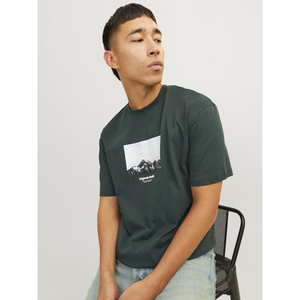 JACK & JONES Marškinėliai vyrams, Pilka, Vester bro picture tee 7