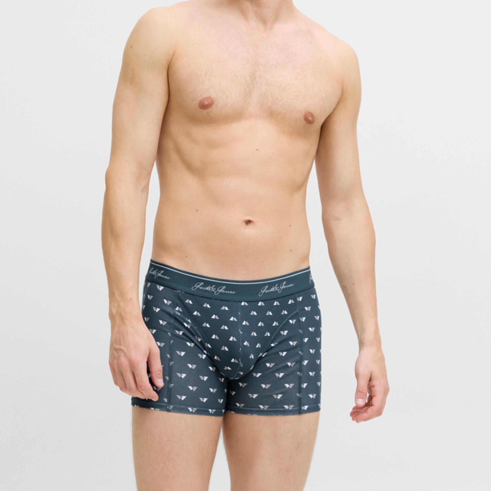 JACK & JONES Ilginti apatiniai vyrams, Marga, Tate trunks 4