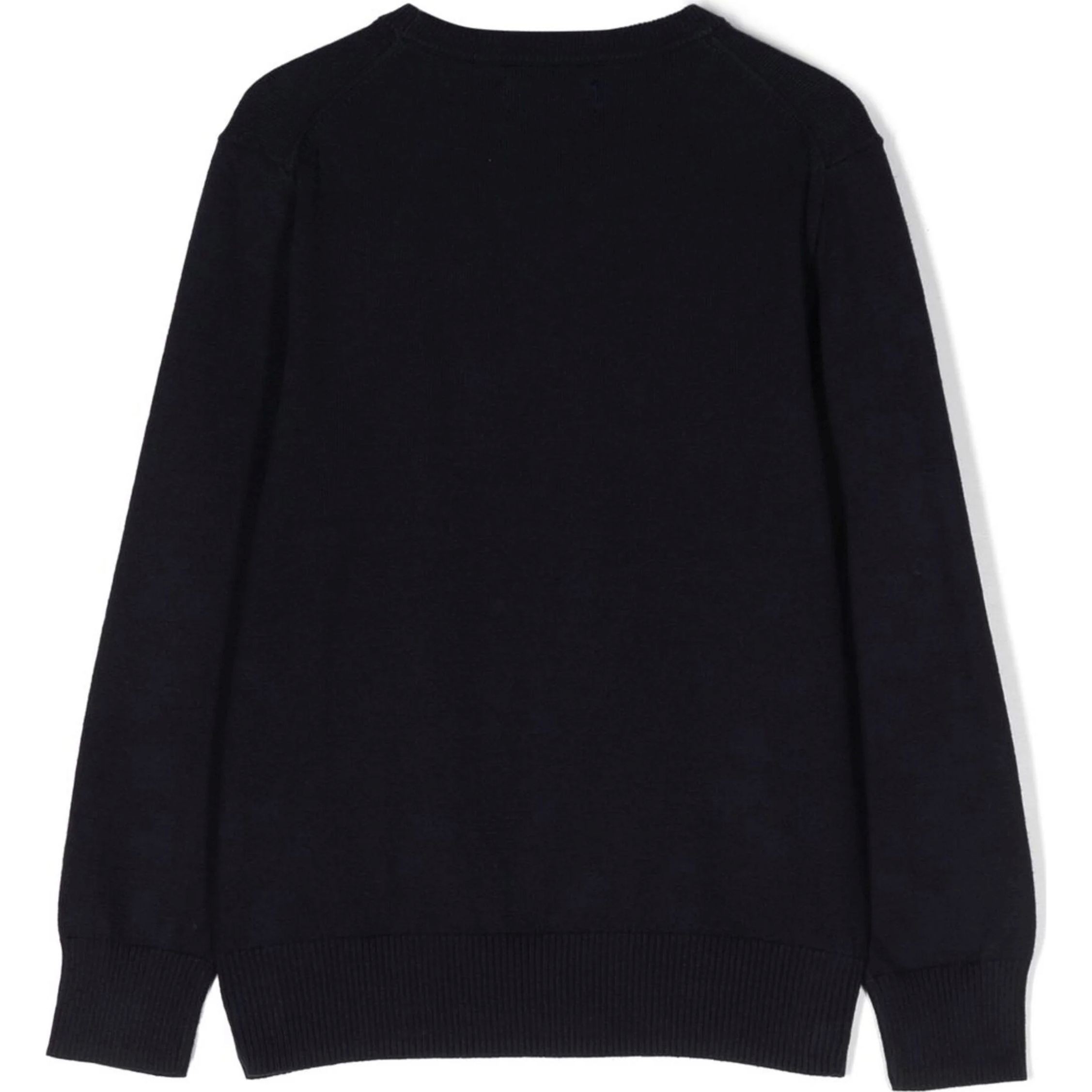 RALPH LAUREN KIDS Megztinis berniukams, Mėlyna, Cotton crewneck sweater (8-20) 2