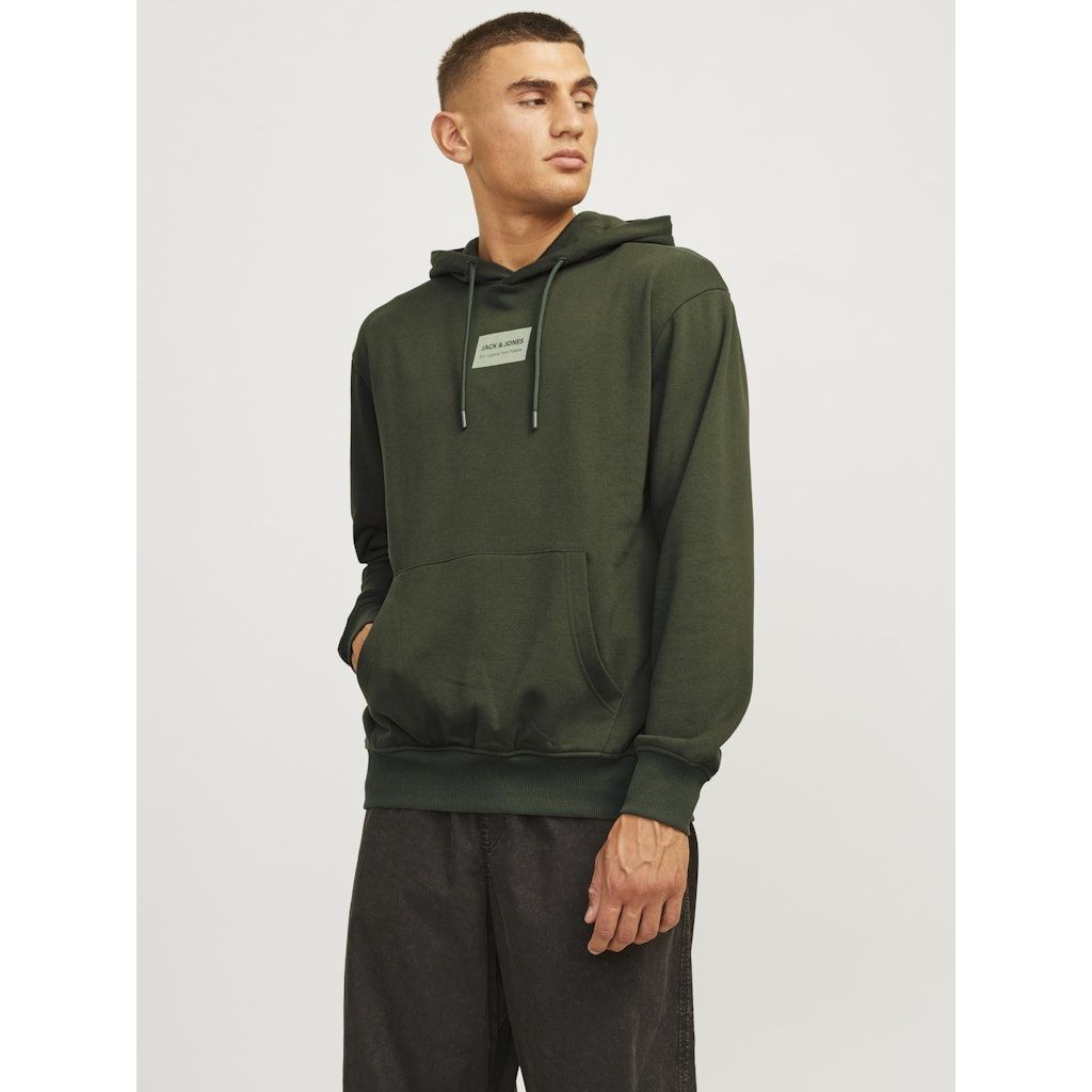 JACK & JONES Džemperis vyrams, Chaki, Hak kai sweat hood 2
