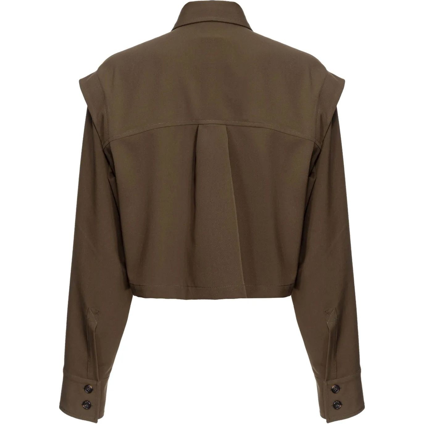 PINKO Marškiniai ilgomis rankovėmis moterims, Ruda, Fioriera cropped shirt 2