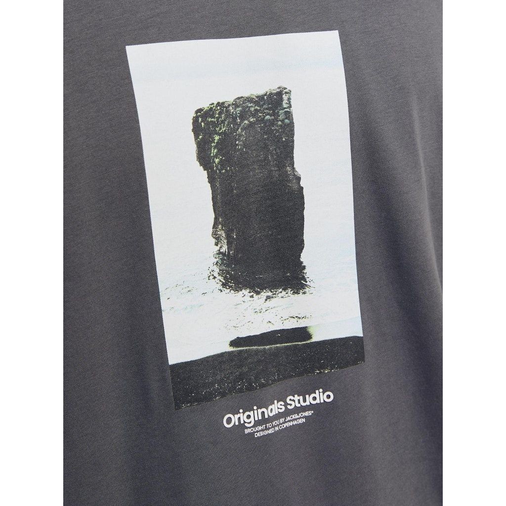 JACK & JONES Marškinėliai vyrams, Pilka, Vester bro picture tee 3