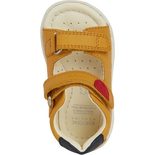 GEOX Basutės berniukams, Geltona, Sandal macchia 5