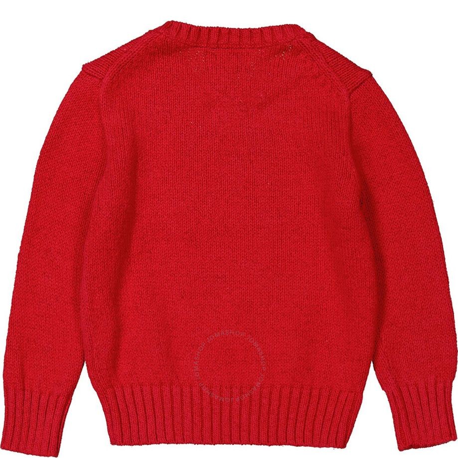 RALPH LAUREN KIDS Sportinis nertinis berniukams, Raudona, Bear sweatshirt (2-7) 2