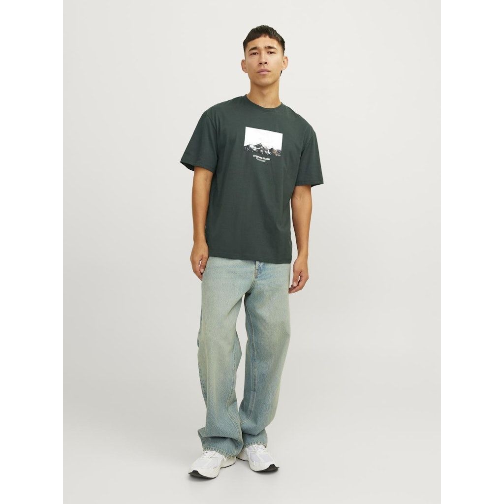 JACK & JONES Marškinėliai vyrams, Pilka, Vester bro picture tee 5